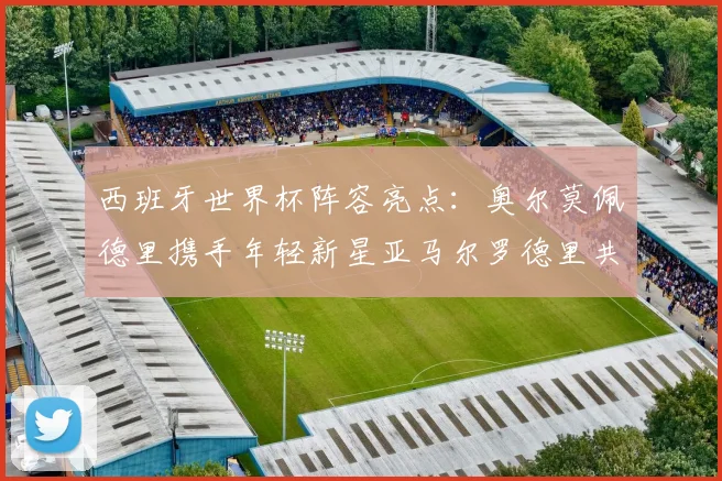 西班牙世界杯阵容亮点：奥尔莫佩德里携手年轻新星亚马尔罗德里共赴荣耀之战